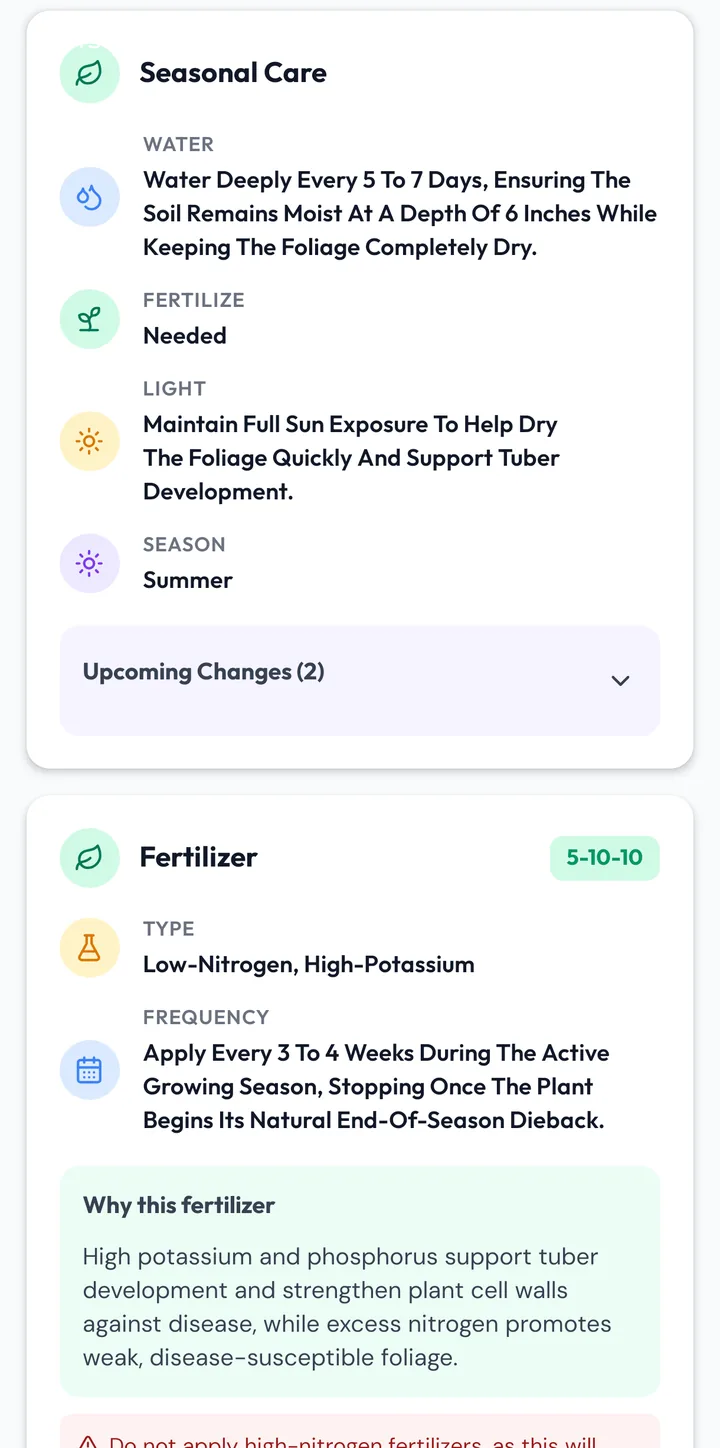 Seasonal care and fertilizer guidance: watering depth, light, season and NPK ratio